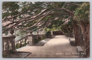 Postcard Derbyshire England Haddon Hall Terrace Walk 1910s View