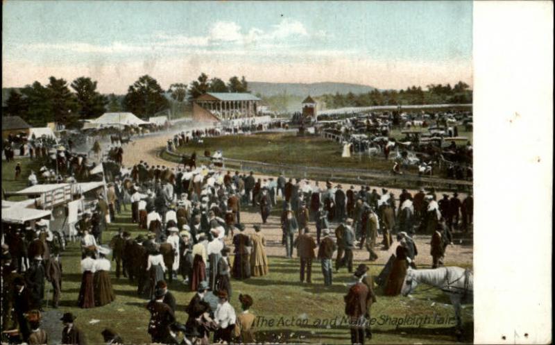 Acton & Shapleigh ME Fair Horse Races c1910 Postcard