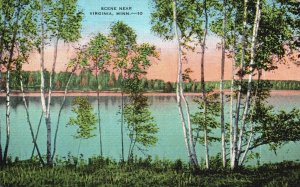 Vintage Postcard Beautiful Scene Near Virginia Minnesota MN E. C. Kropp Pub.