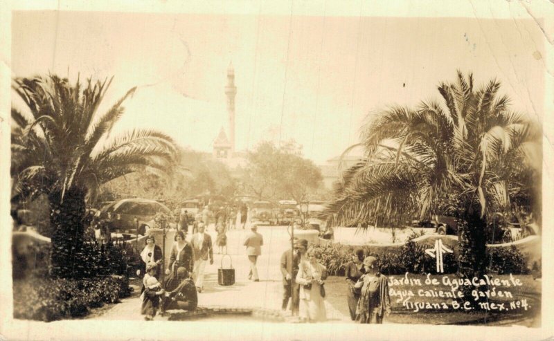 Mexico Tijuana B.C Jardin de Agua Caliente Agua Caliente Garden RPPC 06.96