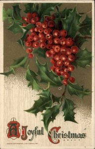 Winsch Christmas Holly Berries c1910 Vintage Postcard