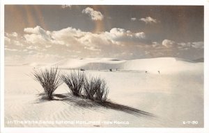 H56/ White Sands National Monument New Mexico RPPC Postcard c1950s  1