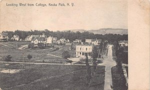 LOOKING WEST FROM COLLEGE KEUKA PARK NEW YORK ROTOGRAPH POSTCARD 1909