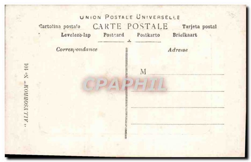 Old Postcard Horses Equestrian Horse