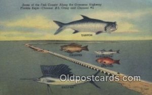 Fish Caught, Overseas Highway Florida Keys, USA Fishing Unused 