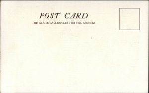 Staunton VA First Presbyterian Church c1905 Postcard