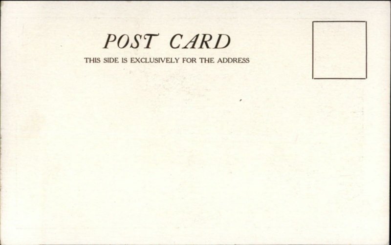 Staunton VA First Presbyterian Church c1905 Postcard