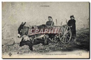 Old Postcard Folklore Auvergne hitch Donkey Mule