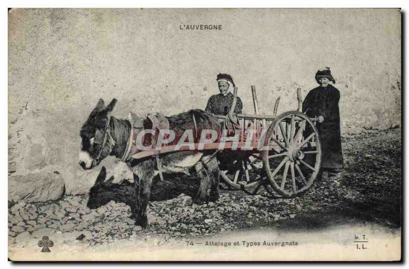 Old Postcard Folklore Auvergne hitch Donkey Mule