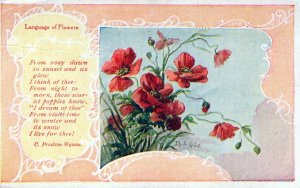 VINTAGE POSTCARD LANGUAGE OF FLOWERS POSTED MOUNT IDAHO 1909