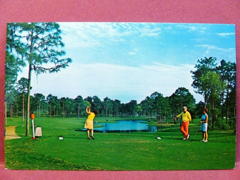 Postcard FL Tarpon Springs Innisbrook Golf Course 7th Hole