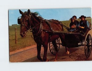 Postcard Amish family in the buggy Greetings From The Amish Country PA USA