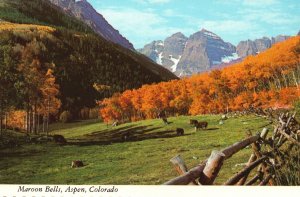 Vintage Postcard Elk Mountains Maroon Bells Aspen Colorado CO