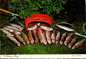 American Rainbow Trout A Fisherman's Dream 1984