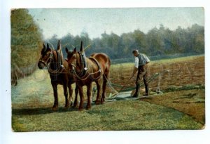 494246 GERMANY Types Plowman Horses on field Vintage postcard