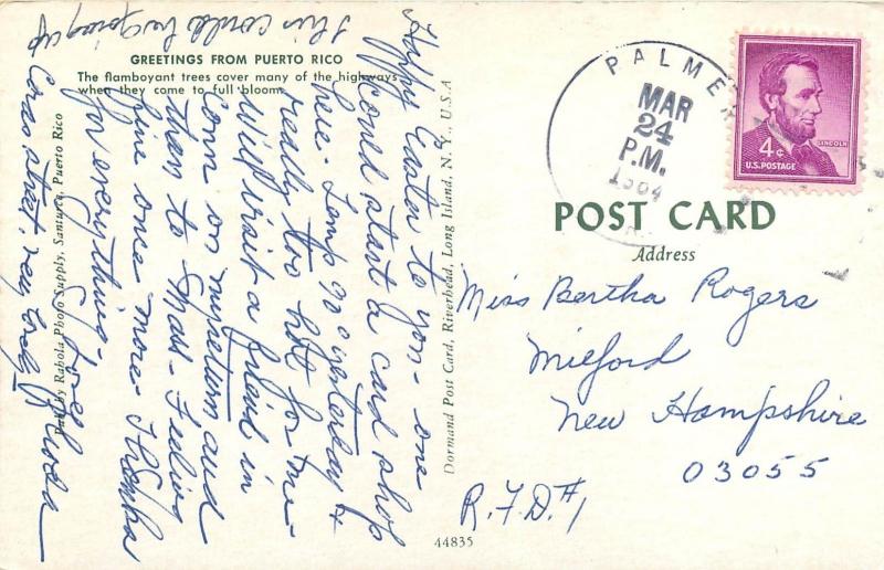 Flamboyant Trees on Road in Puerto Rico PR pm 1964 Postcard