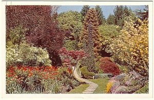 The Butchart Gardens, Victoria, British Columbia, Vintage Chrome Postcard #1
