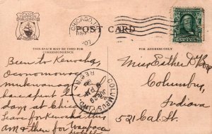 Pigs Contented and Home in Chicago,IL