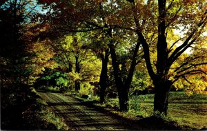 New York Catskill Mountains Narrowsburg Greetings From Fort Delaware