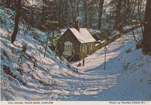 Toll House River Bank Durham Womens Institute Rare Photo Postcard