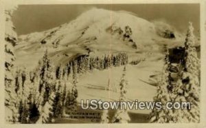 Real Photo - Rainier National Park, Washington