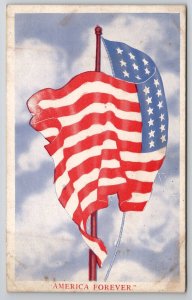 America Forever The 48 Star Flag Postcard Y30