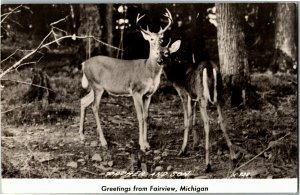 RPPC Greetings from Fairview MI, Deer Buck Father and Son Vintage Postcard P29