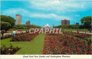 Modern Postcard Grand Park Rose Garden and Buckingham Fountain Chicago Illinois