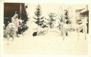 1930s Hubbell Michigan Snow Ice Sculptures Animals #B-8 Postcard RPPC 11105