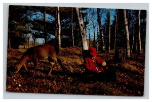 Vintage 1960's Postcard Hunter Sleeping Under Tree Deer Inspects - Funny