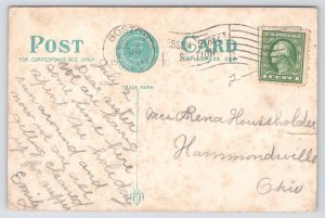 State View~Middlesex Fells Reservation MA~Rustic Lovers Bridge~1913 Postcard