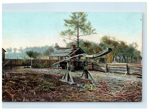 Early Florida Sugar Cane Mill  Postcard An Old Residenter