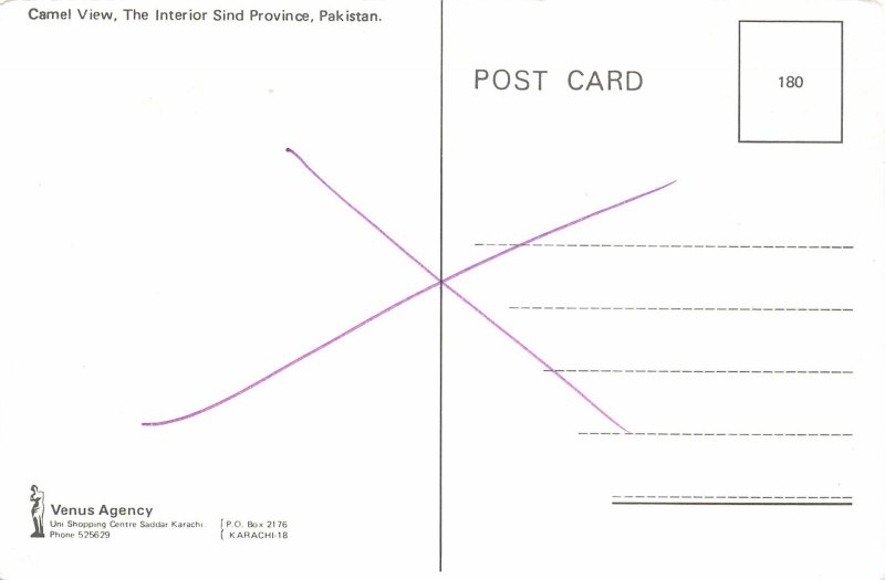 Lot156 camel view the interior sind province pakistan