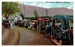 Madeira Islands , Sled Cabs