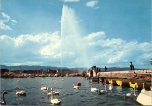 Postcard Switzerland - The Geneva Water Fountain - Jet d'Eau