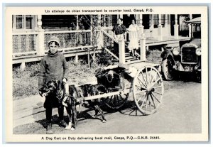 Gaspe Quebec Canada Postcard Dog Cart on Duty Local Mail c1950's Vintage