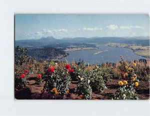 Postcard Young's Bay, Astoria, Oregon