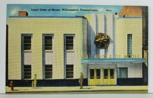 Williamsport Pa Loyal Order of Moose Linen 1940s Postcard N13