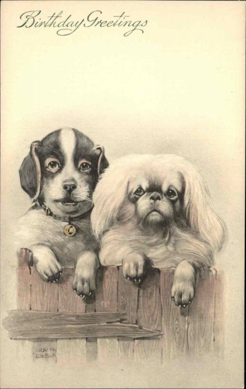 BIRTHDAY Adorable Puppy Dogs A/S WEBER c1910 Postcard