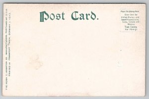 Warren PA Struthers Library Building Post Office Theatre Postcard X28