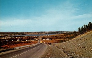 Canada Newfoundland Conception Bay Peninsula Cows Strolling Up #3 Highway At ...