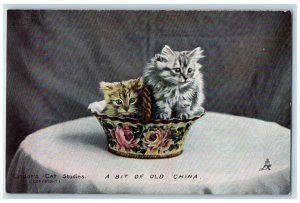 Postcard Two Cats A Bit of Old China Basket c1910 Photochrome Tuck Cats