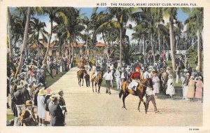 Horse Parade Paddock Miami Jockey Club Race Track Hialeah Florida postcard