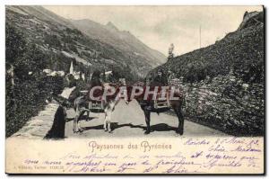 Old Postcard Donkey Mule Farmer of the Pyrenees