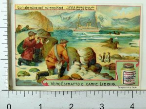 1880's Summer In The Extreme North Lovely Liebig Victorian 6 Trade Card Set K50