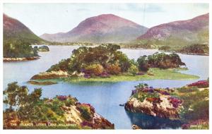 Ireland  Killarney   The Islands Upper Lake