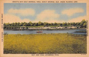 Sealy Springs Alabama Hot Salt Mineral Well Vintage Postcard AA23957