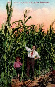 Corn As It Grows In The Great Northwest