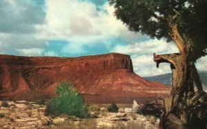 Vintage Postcard Monument Valley Desert Plateau Red Cliffs Arizona-Utah Border