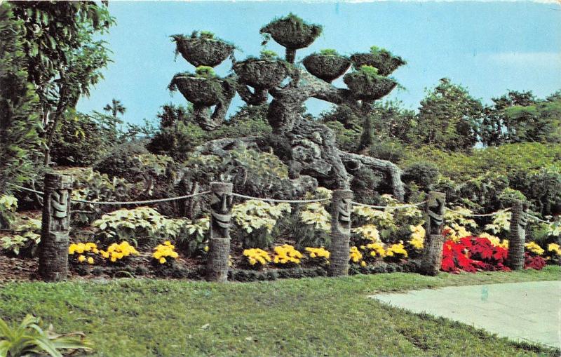 BG9701 the shangri la tree at cypress gardens florida usa